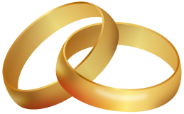 Lizbette y Leonardo: anillos